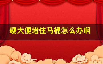 硬大便堵住马桶怎么办啊