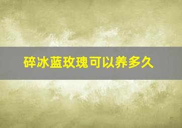 碎冰蓝玫瑰可以养多久