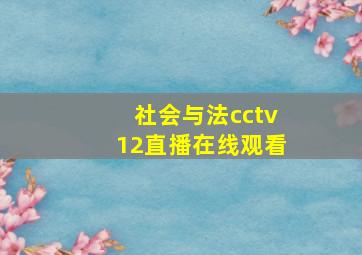 社会与法cctv12直播在线观看