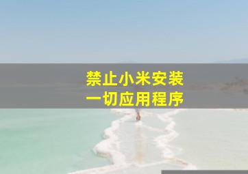 禁止小米安装一切应用程序