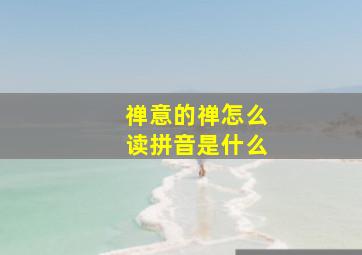 禅意的禅怎么读拼音是什么