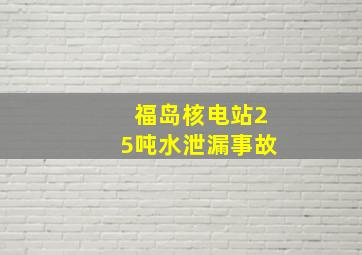 福岛核电站25吨水泄漏事故