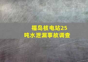 福岛核电站25吨水泄漏事故调查