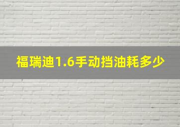 福瑞迪1.6手动挡油耗多少