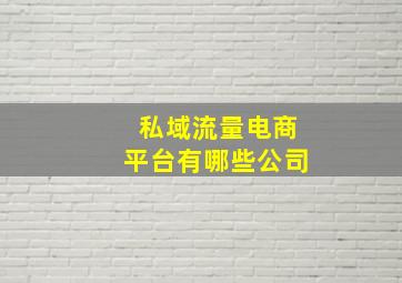 私域流量电商平台有哪些公司