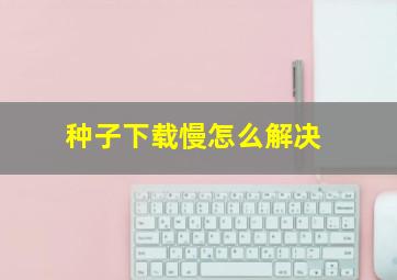 种子下载慢怎么解决