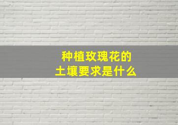 种植玫瑰花的土壤要求是什么