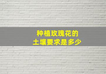 种植玫瑰花的土壤要求是多少