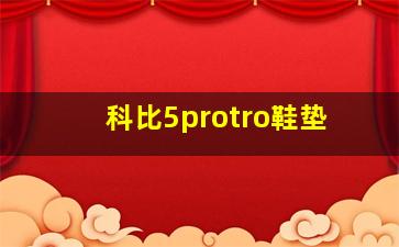 科比5protro鞋垫