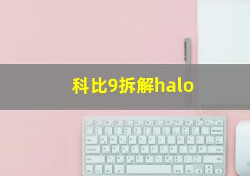 科比9拆解halo