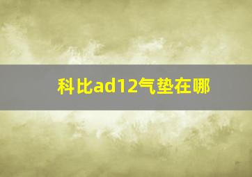 科比ad12气垫在哪