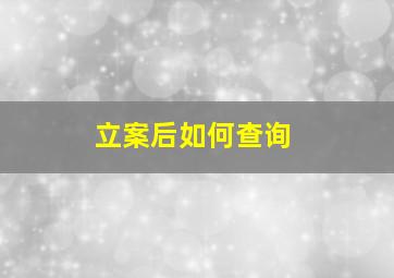 立案后如何查询