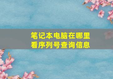 笔记本电脑在哪里看序列号查询信息