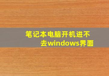 笔记本电脑开机进不去windows界面