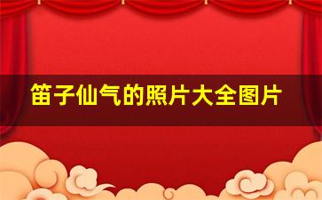 笛子仙气的照片大全图片