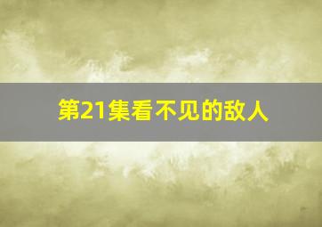 第21集看不见的敌人