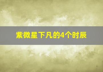 紫微星下凡的4个时辰