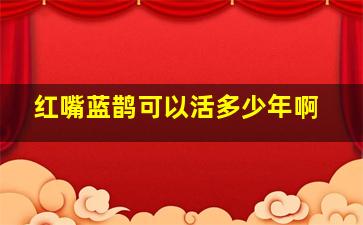 红嘴蓝鹊可以活多少年啊