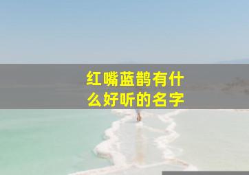 红嘴蓝鹊有什么好听的名字