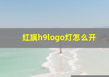 红旗h9logo灯怎么开