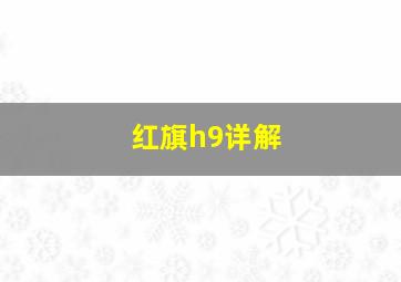 红旗h9详解