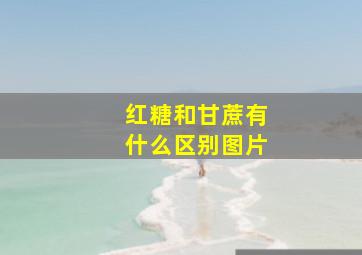 红糖和甘蔗有什么区别图片