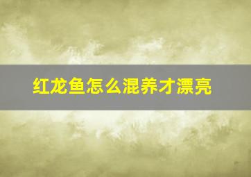 红龙鱼怎么混养才漂亮