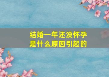 结婚一年还没怀孕是什么原因引起的