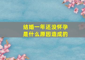 结婚一年还没怀孕是什么原因造成的