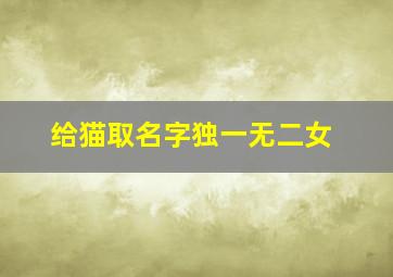 给猫取名字独一无二女