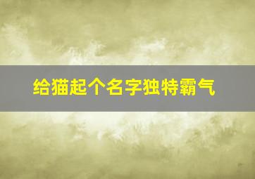 给猫起个名字独特霸气