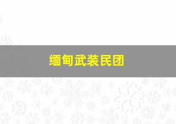 缅甸武装民团