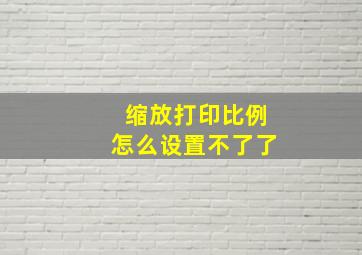 缩放打印比例怎么设置不了了