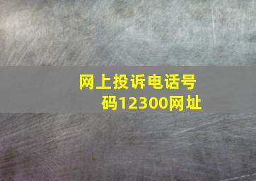 网上投诉电话号码12300网址