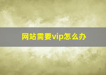 网站需要vip怎么办