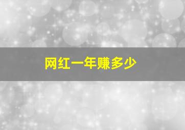 网红一年赚多少