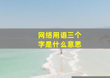 网络用语三个字是什么意思