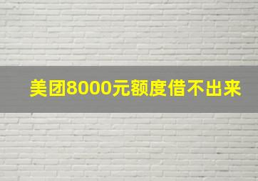 美团8000元额度借不出来