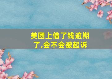 美团上借了钱逾期了,会不会被起诉