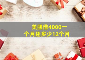 美团借4000一个月还多少12个月