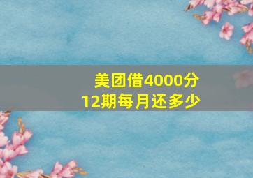 美团借4000分12期每月还多少