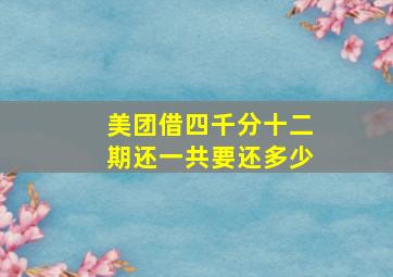 美团借四千分十二期还一共要还多少