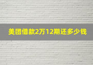 美团借款2万12期还多少钱