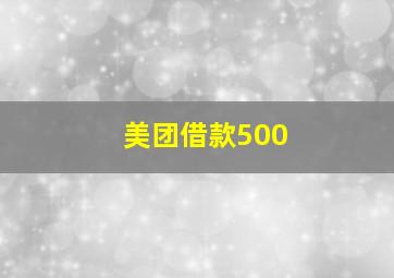 美团借款500