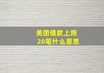 美团借款上限20笔什么意思