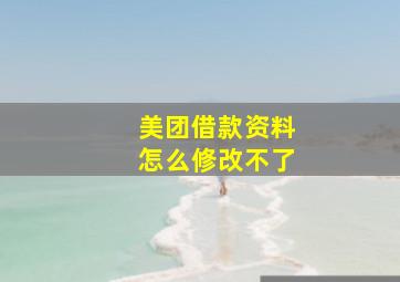 美团借款资料怎么修改不了