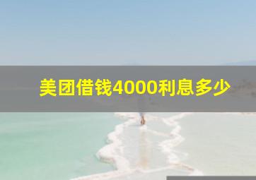 美团借钱4000利息多少