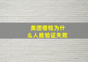 美团借钱为什么人脸验证失败