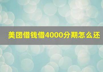 美团借钱借4000分期怎么还