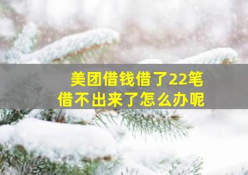 美团借钱借了22笔借不出来了怎么办呢